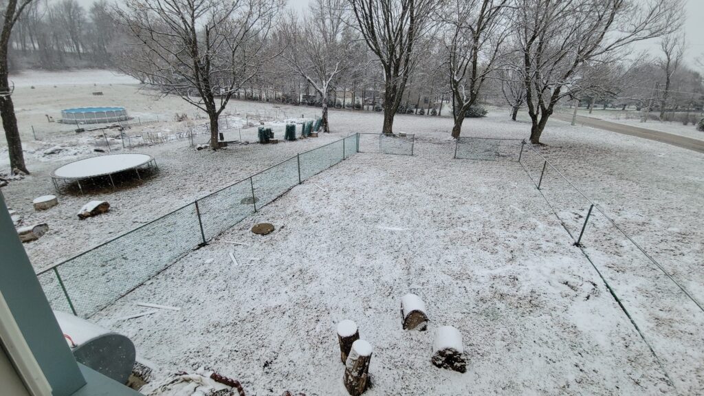 fence during winter