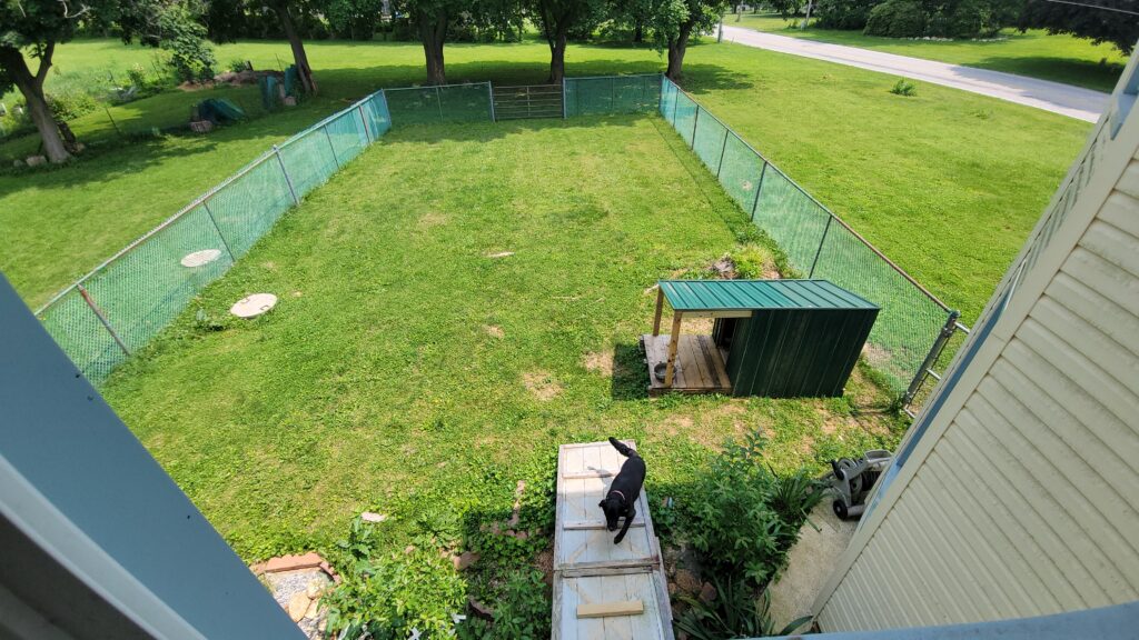 fence solution for dog