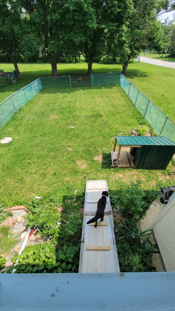 creative dog fence solution