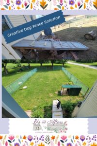 dog fence solution