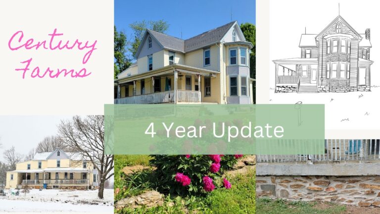 4 year update at Century Farms