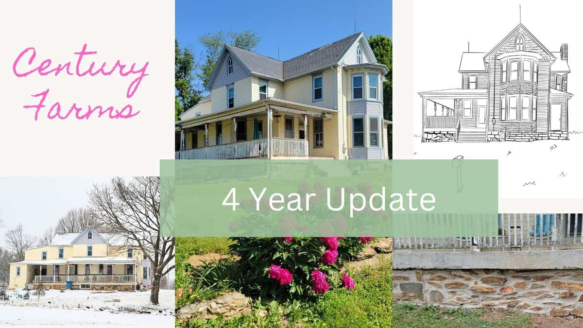 4 year update at Century Farms