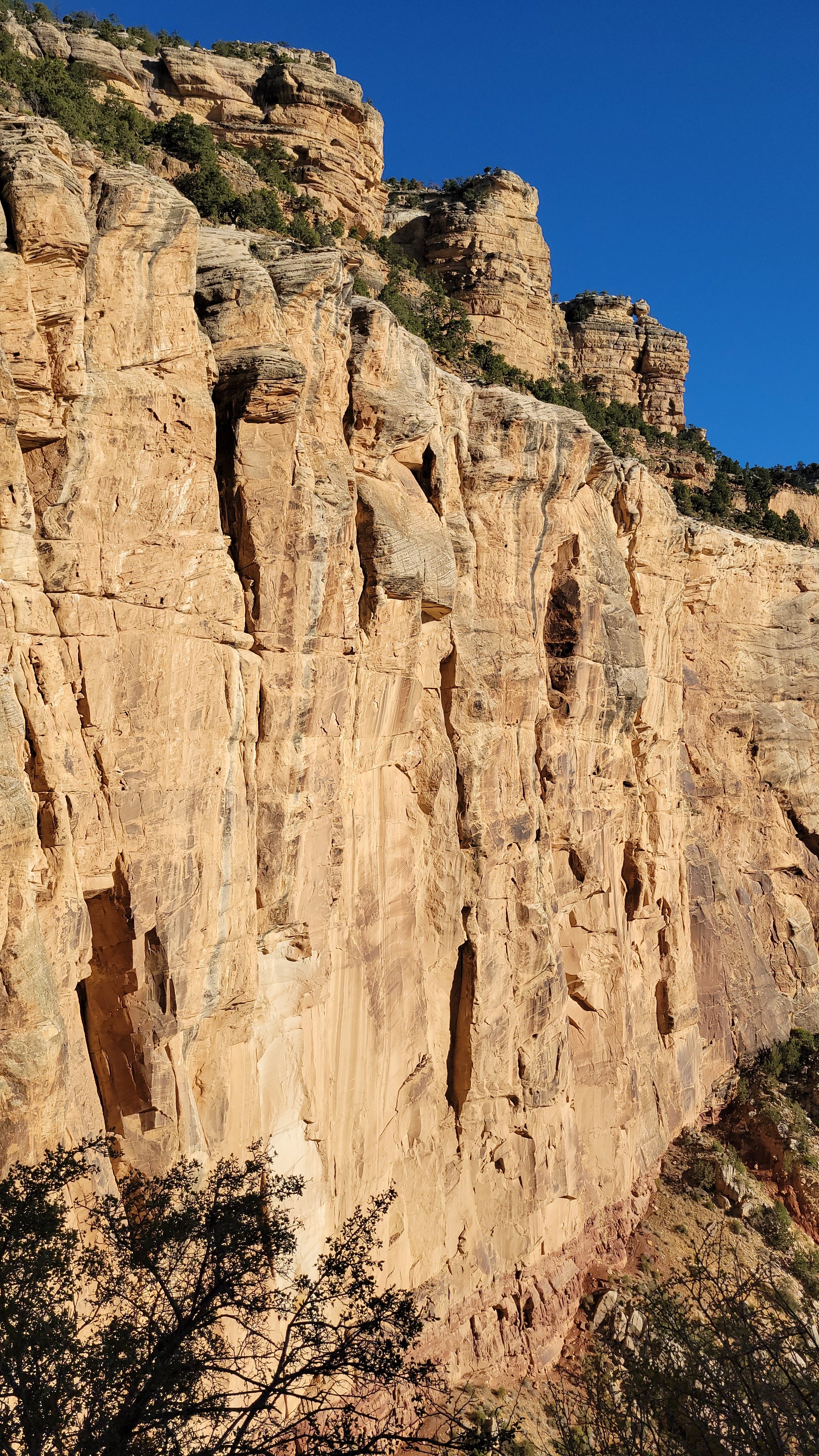 Stunning canyon cliffs with layered rock formations under a clear blue sky.