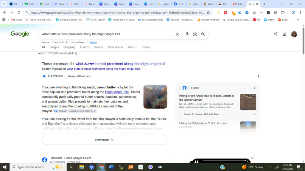 screenshot of butte google search